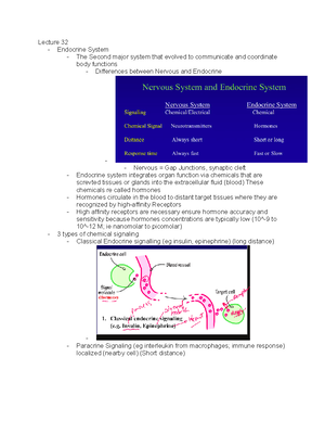 Hormone ands Signal Transduction - Lecture 33 - Protein hormones and ...