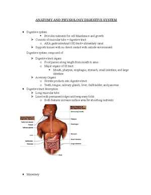 Anatomy Exam 4 Digestive system part 4 - Exam 4 Digestive System Part 4 ...