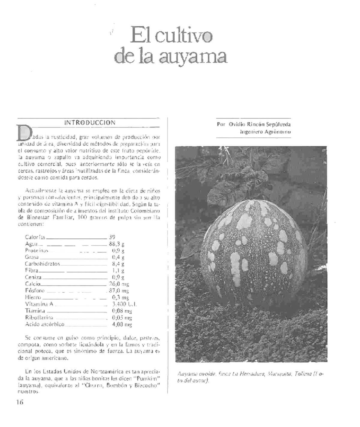 Ahuyama - jhuyv - El cultivo de la auyama INTRODUCCION Por Ovidio ...