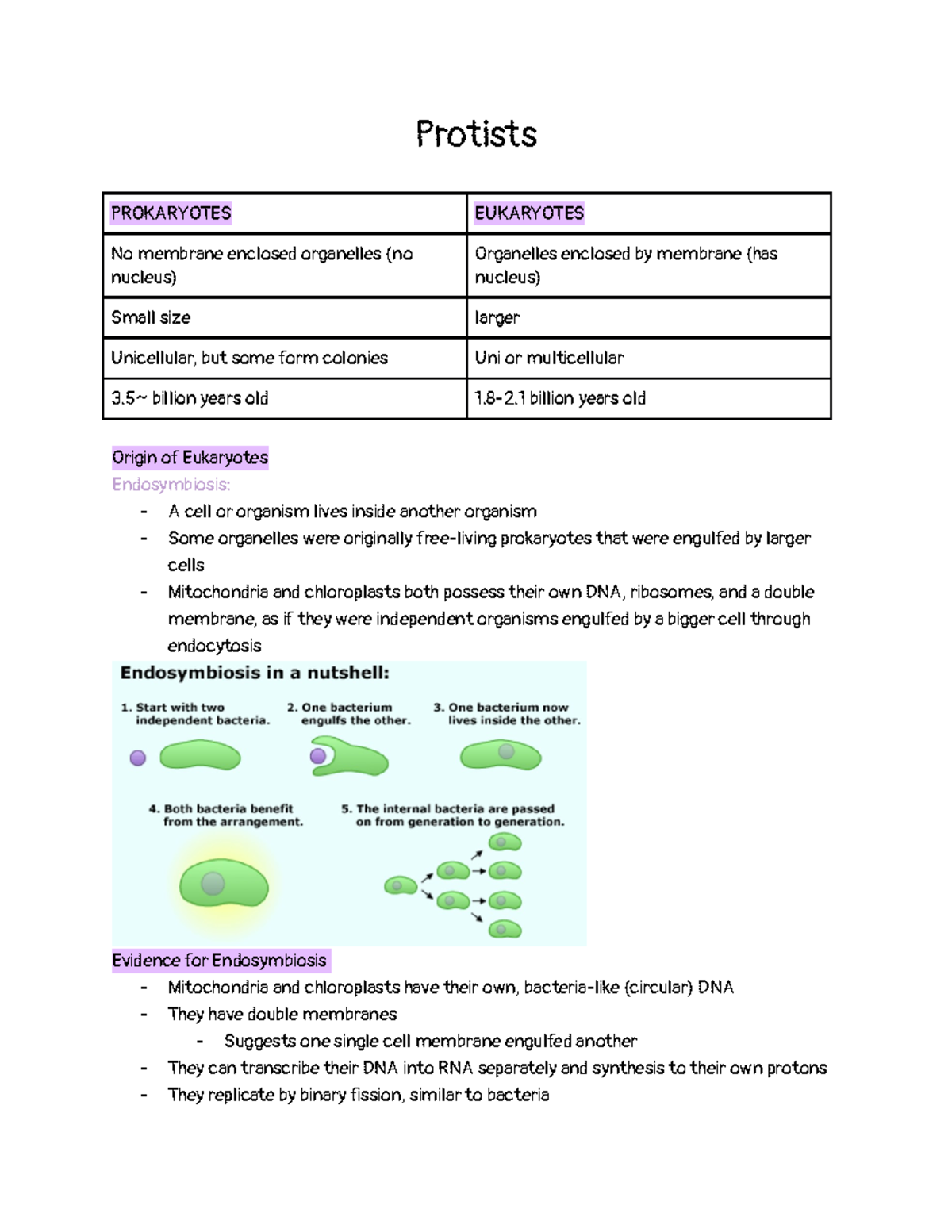 Protists - Protists PROKARYOTES EUKARYOTES No membrane enclosed ...