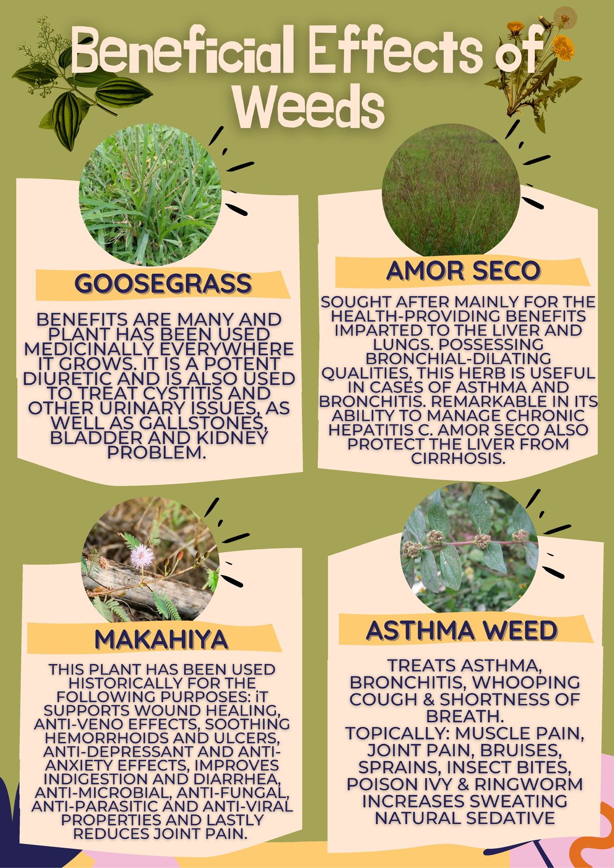 Beneficial AND Harmful Effects OF Weeds - GOOSEGRASSGOOSEGRASS AMOR ...