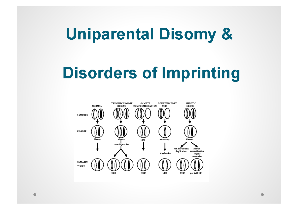 UPD & Imprinting - Uniparental Disomy & Disorders of Imprinting Disomy ...