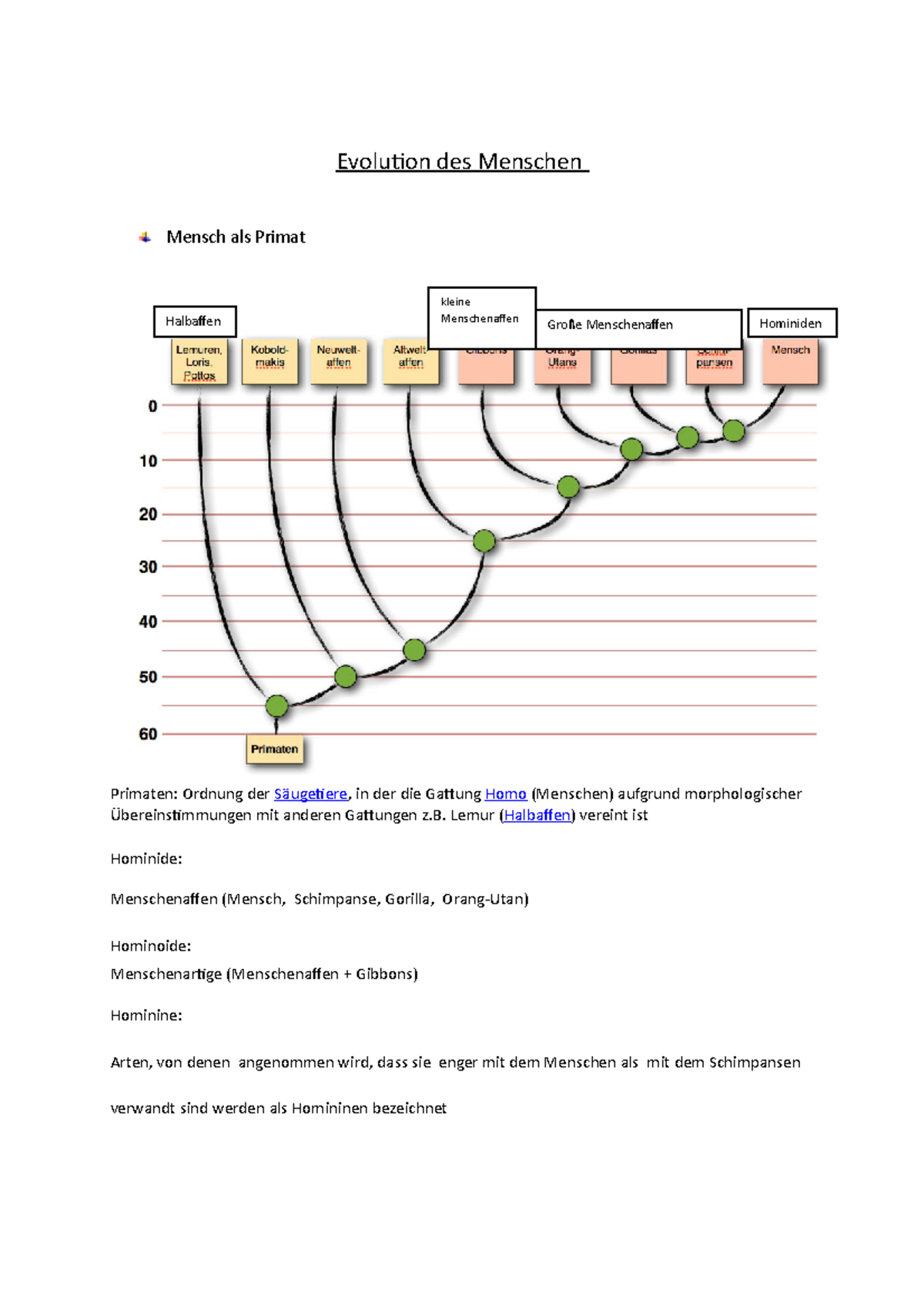 Evolution des Menschen (Automatisch gespeichert) - Evolution des ...