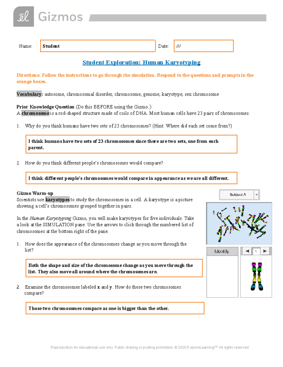 Gizmos - Human Karyotyping - Name: Student Date: /// Student ...