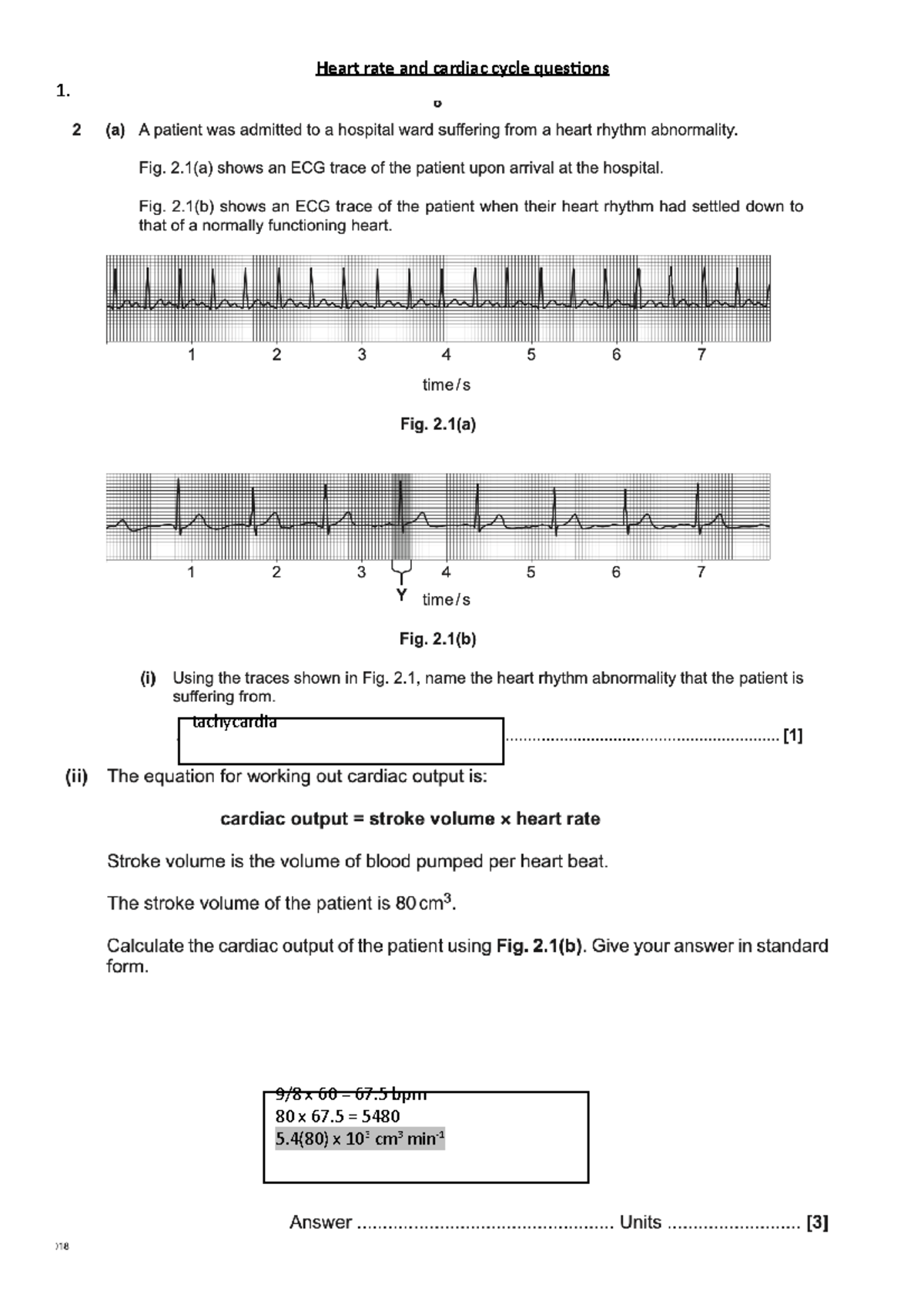 Heart rate and cardiac cycle questions - BI1014 - tachycardia 9/8 x 60 ...