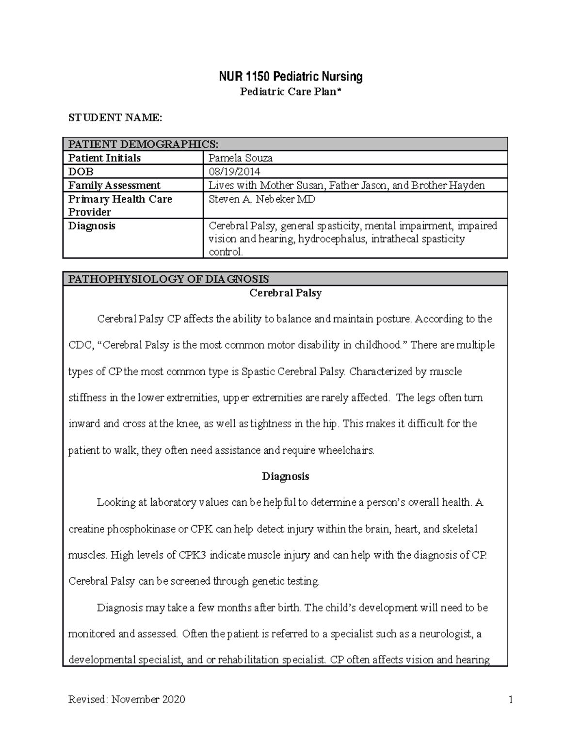 Pediatrics Care Plan Care Plan For Pediatric Patient NUR 1150 