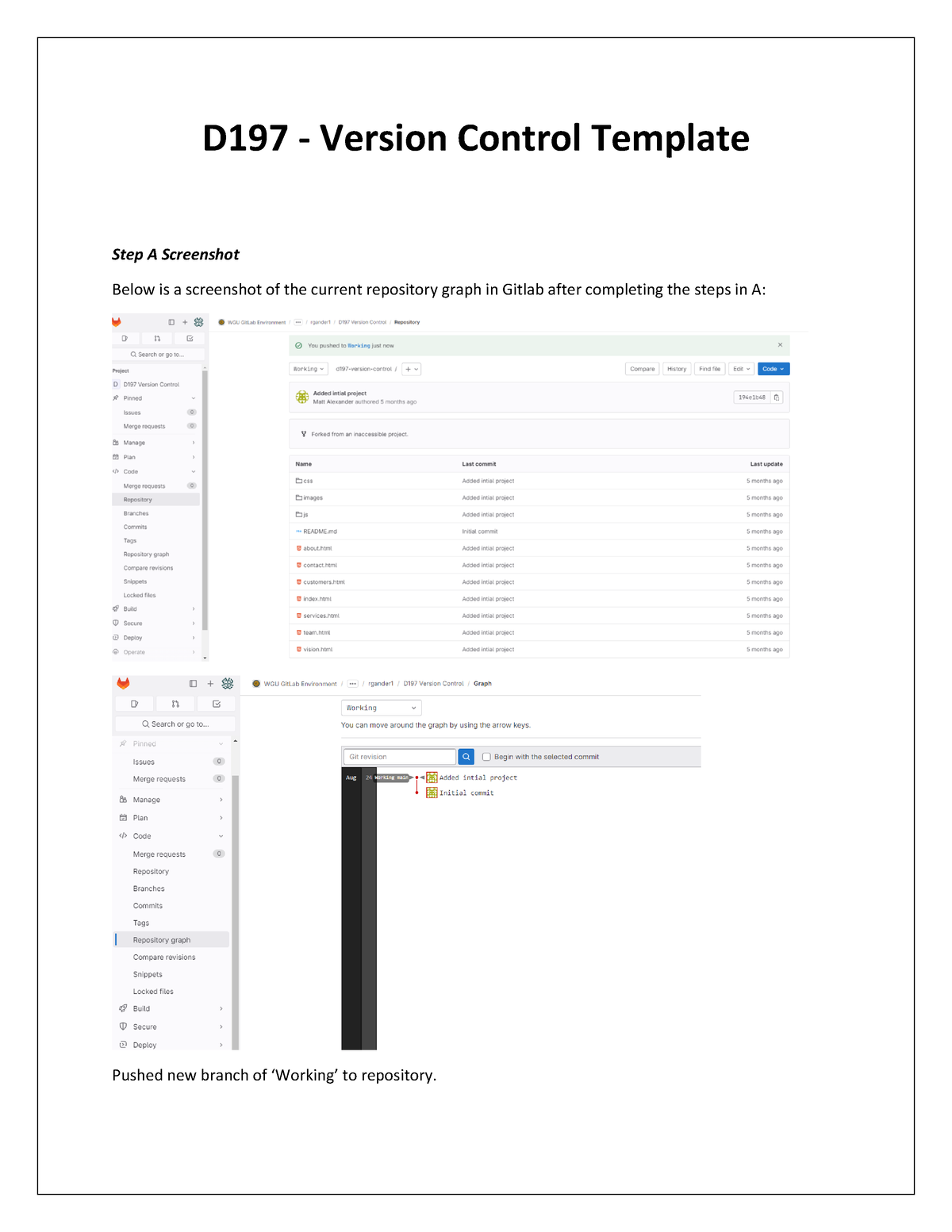 D197 - Version Control - CourseWork - D197 - Version Control Template ...