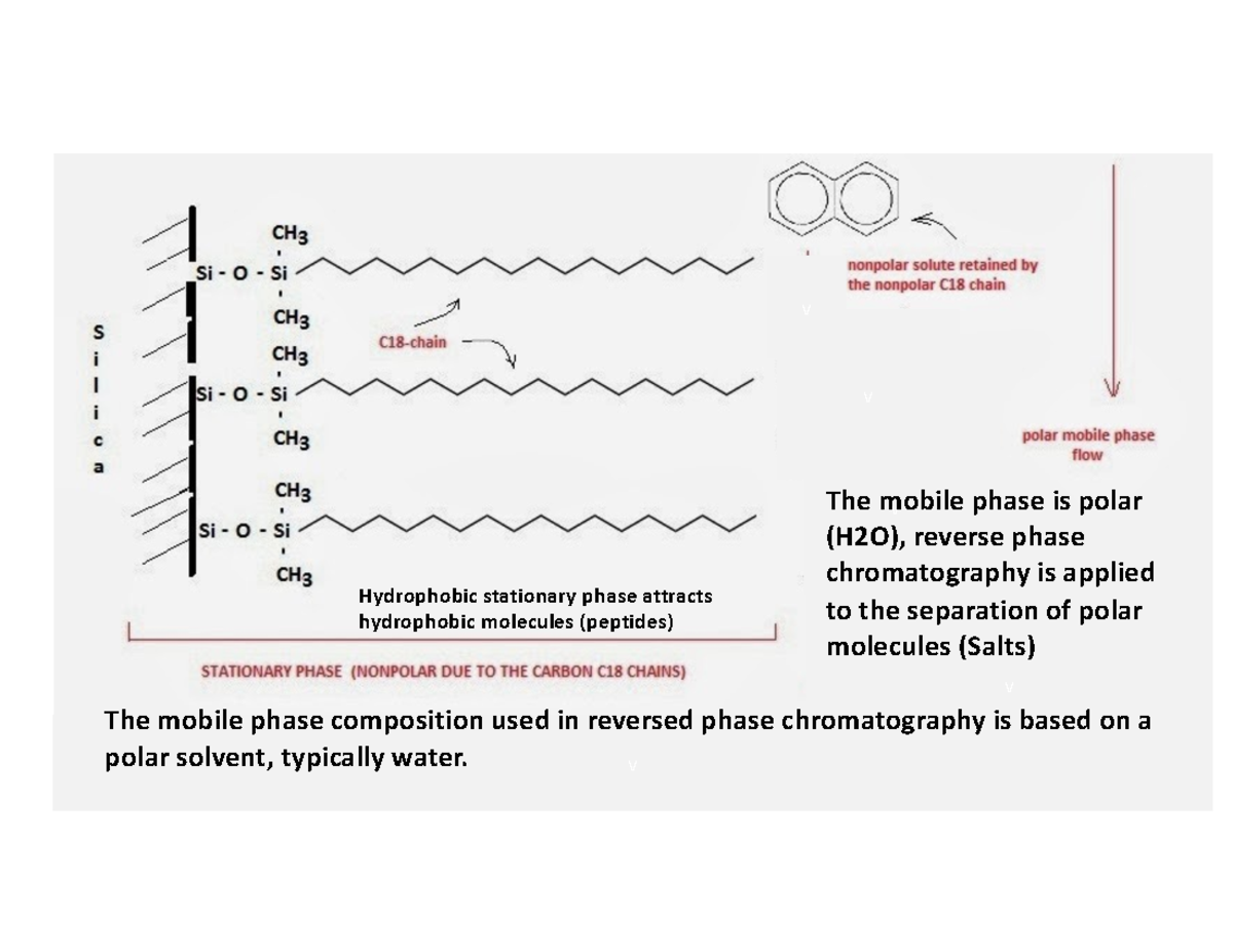Week 11 - Tada - v The mobile phase is polar v (H2O), reverse phase ...