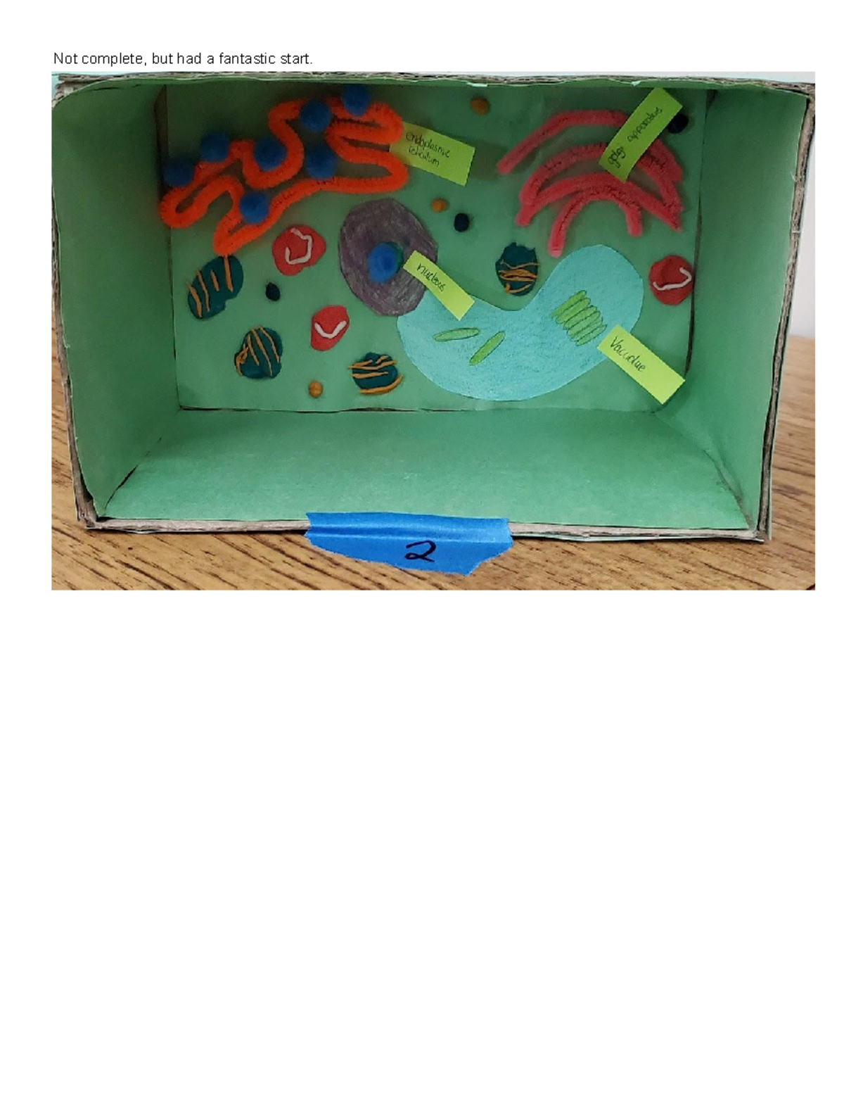 Cell Project Student Examples - Not complete, but had a fantastic start ...
