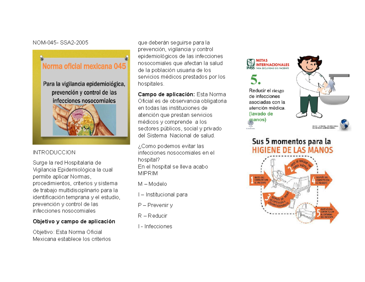 Triptico de la norma 045 ssa NOM045 SSA2 INTRODUCCION Surge la red