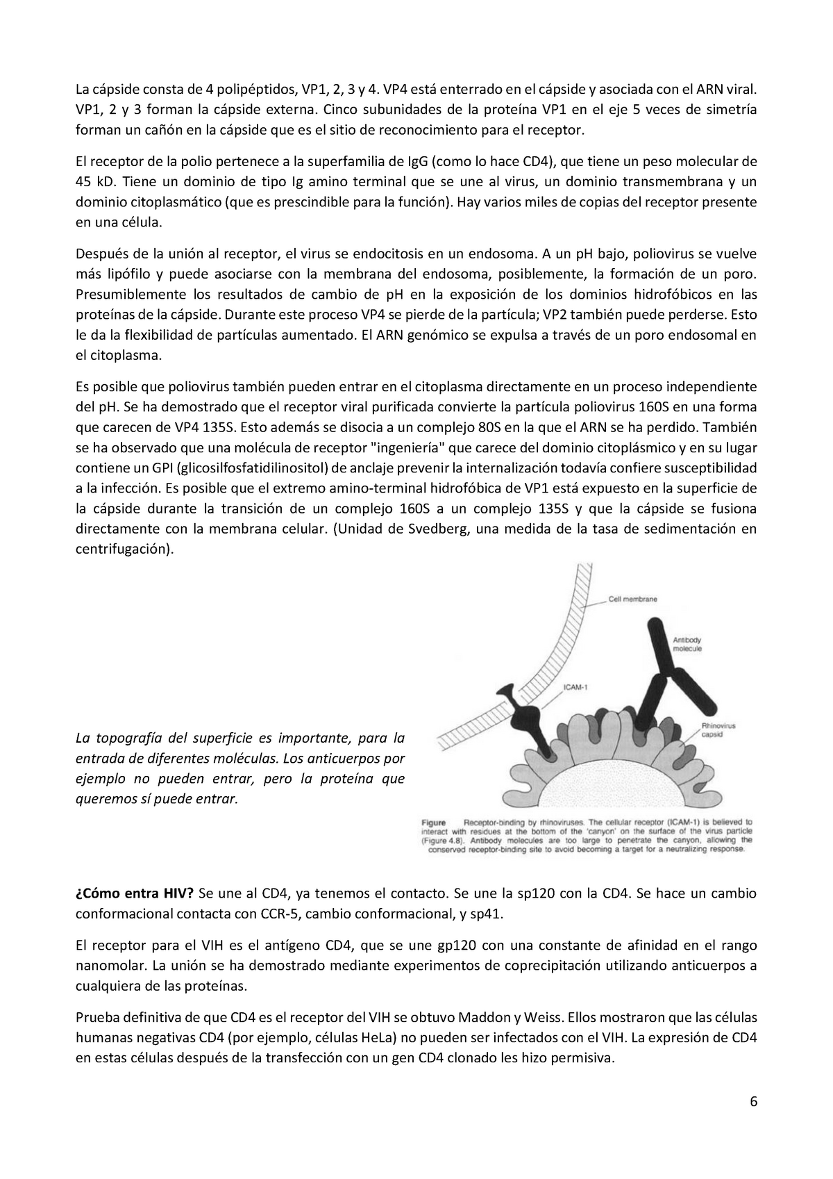 tema-3-y-tema-4-parte-ii-la-consta-de-4-vp1-2-3-y-4-vp4-enterrado