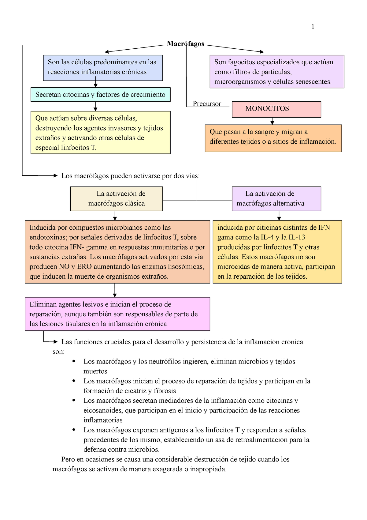 Inflamación cronica, mapas conceptuales - 1 Macrófagos Los macrófagos  pueden activarse por dos vías: - Studocu