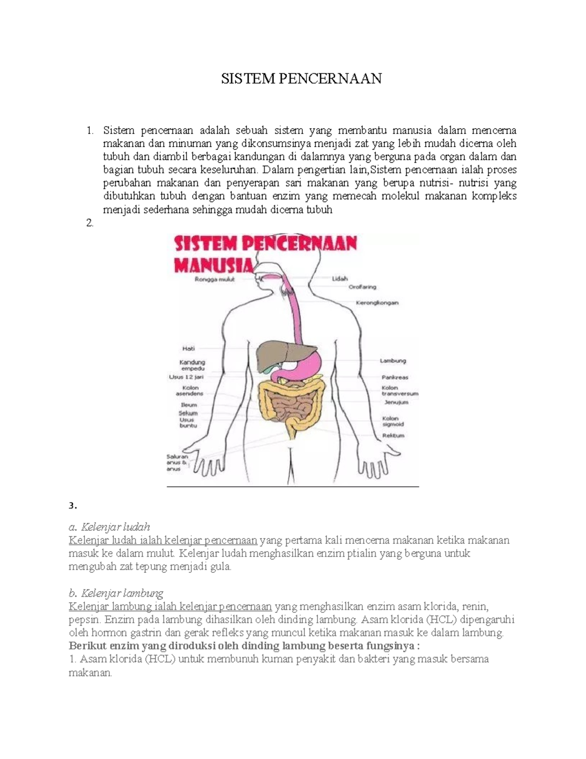 Sistem Pencernaan - SISTEM PENCERNAAN Sistem Pencernaan Adalah Sebuah ...