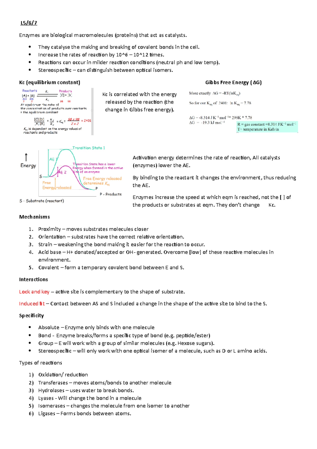 L5, 6, 7 Enzymes Revision notes L5/6/ Enzymes are biological