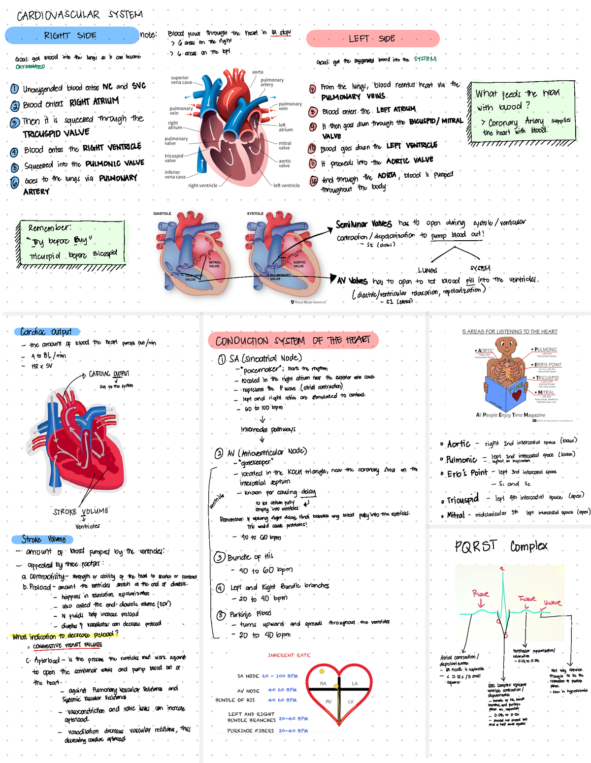 Good Notes - mch - Bachelors in Science in Nursing - Studocu