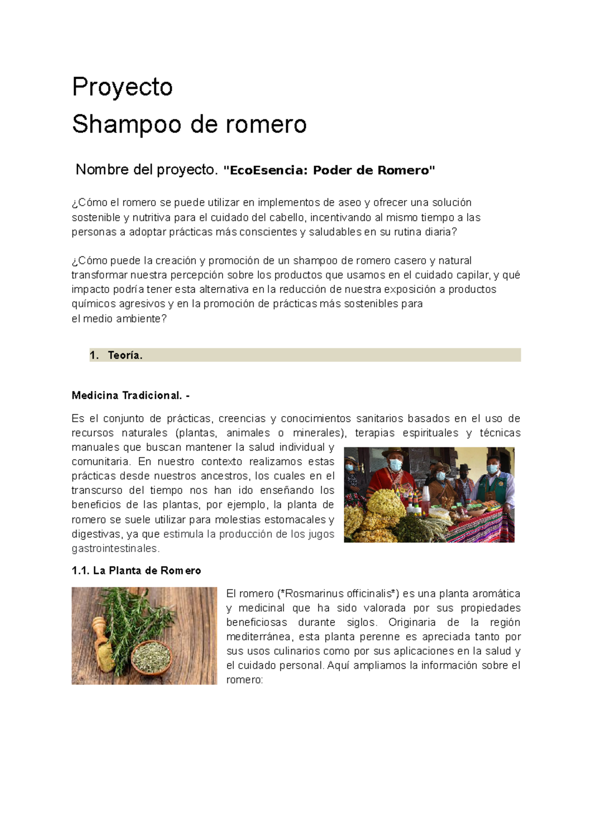 Romero previo JG Proyecto Shampoo de romero Nombre del proyecto
