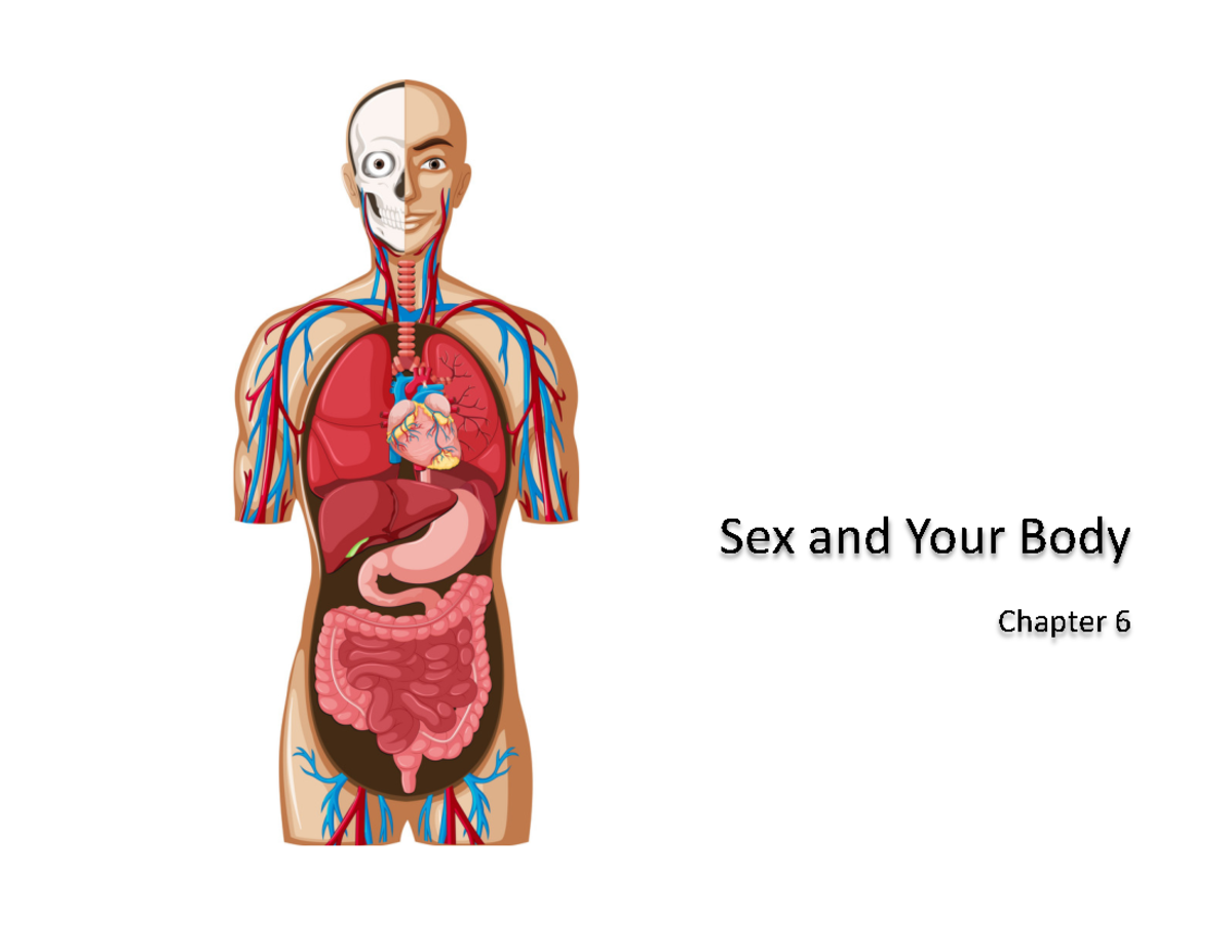 Ch 6 Sex and Your Body - Sexठ⃚andठ⃚Yourठ⃚Bodyठ⃚ Chapterठ⃚6ठ⃚ Sexualityठ⃚  Sexuality - Studocu