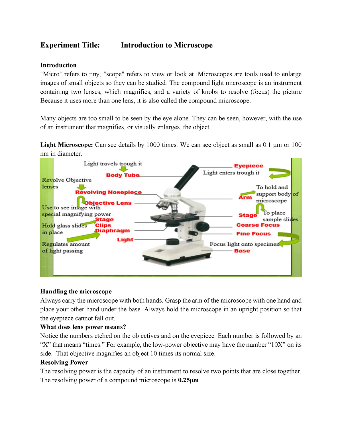 introducing the microscope essay