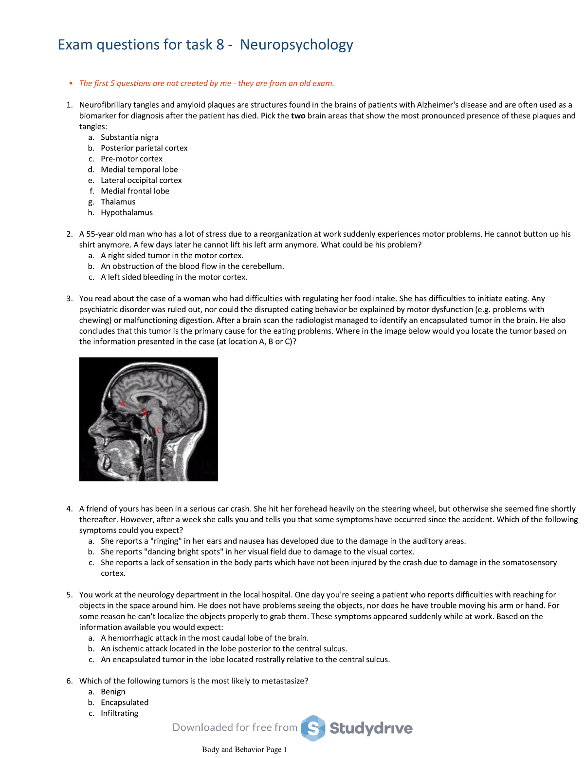 neuropsychology essay questions