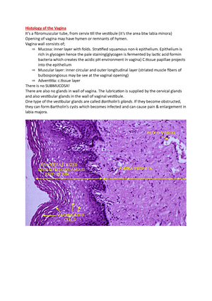 Minora purple labia Vulvar Cancer