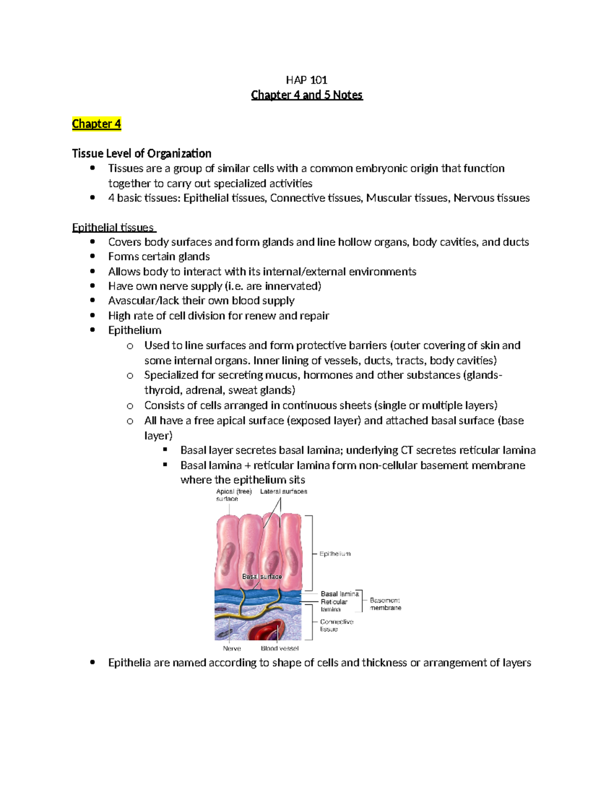 Chapter 4 and 5 Notes - HAP 101 Chapter 4 and 5 Notes Chapter 4 Tissue ...