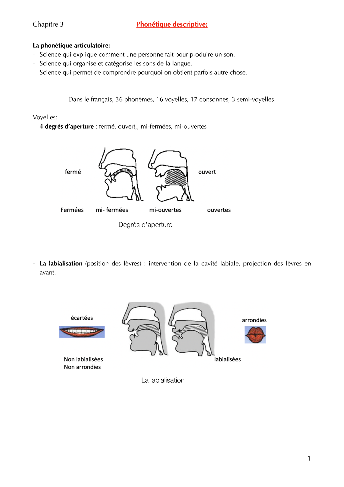 Chapitre 3 - Chap 3 - La Phonétique Articulatoire: Science Qui Explique ...