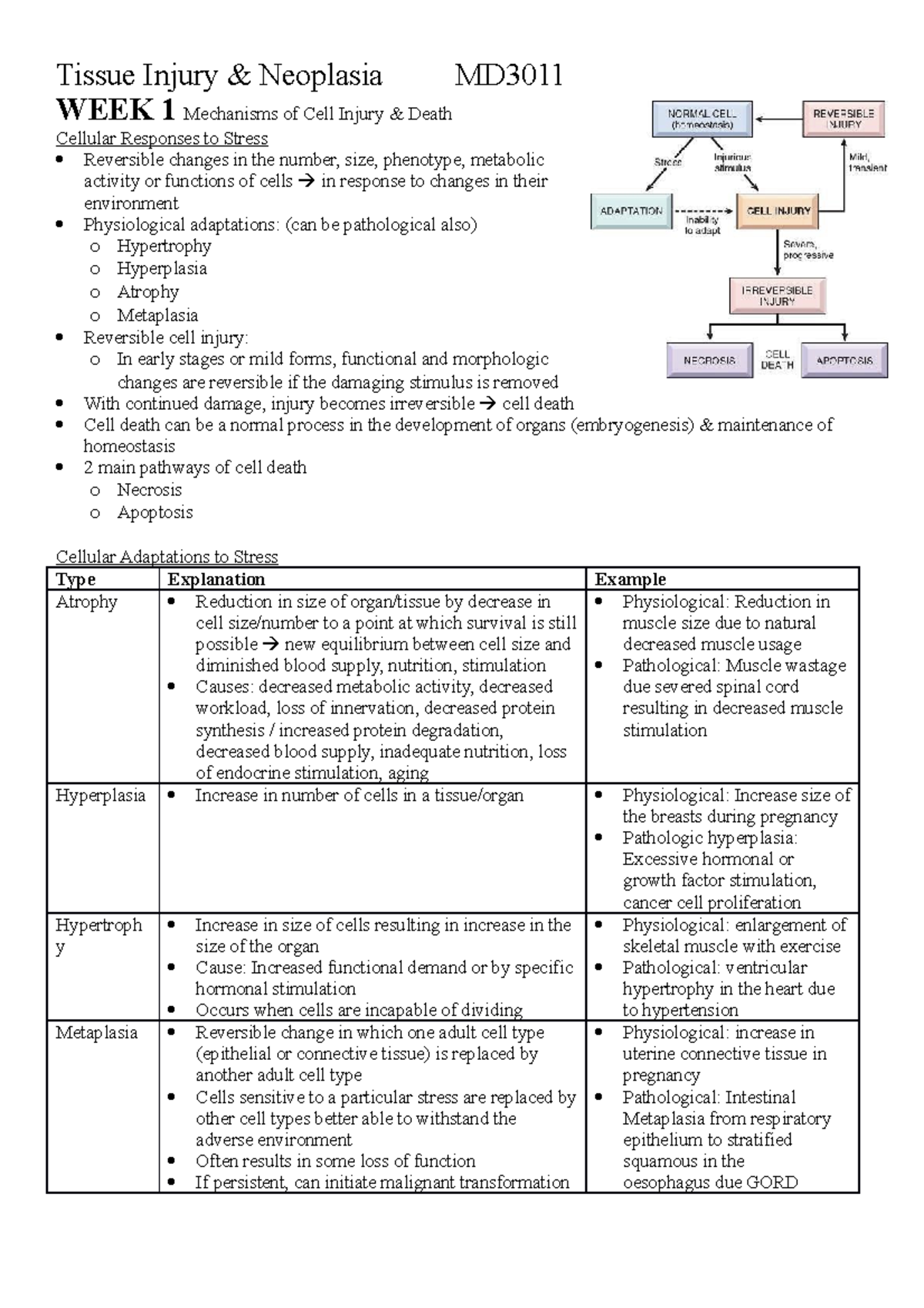 Tissue Injury & Neoplasia Notes - MD3010:12 - JCU - Studocu
