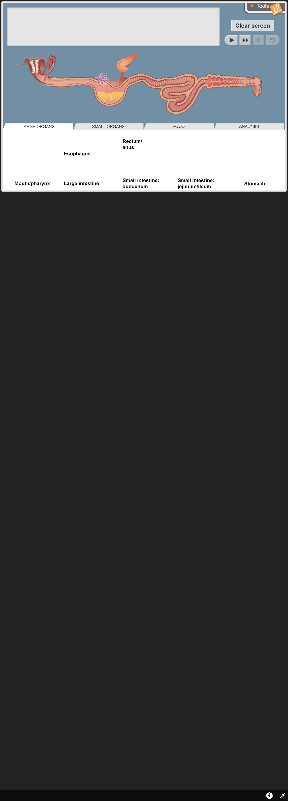 Screenshot 2021-06-08 at 2.59.03 PM - Digestive System © 2021 ...