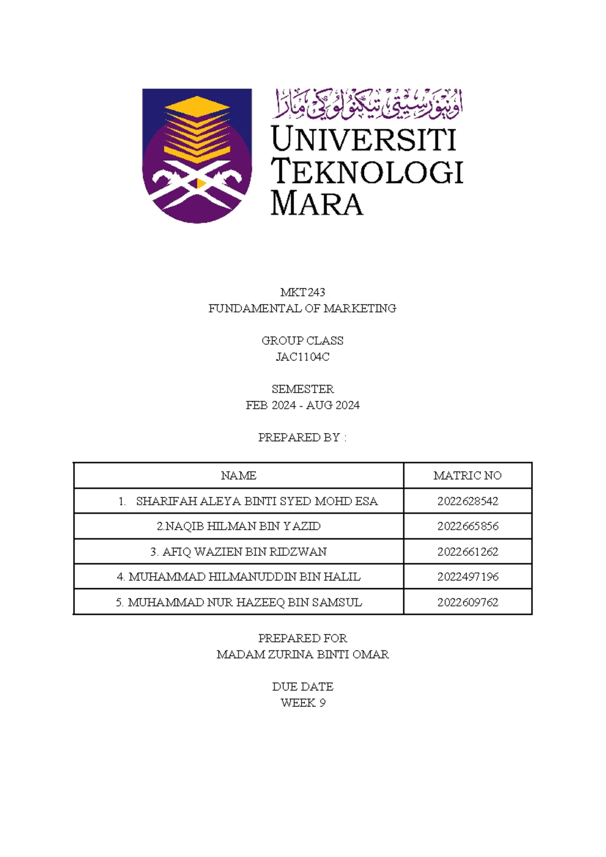 MKT243 group assignment - MKT FUNDAMENTAL OF MARKETING GROUP CLASS ...