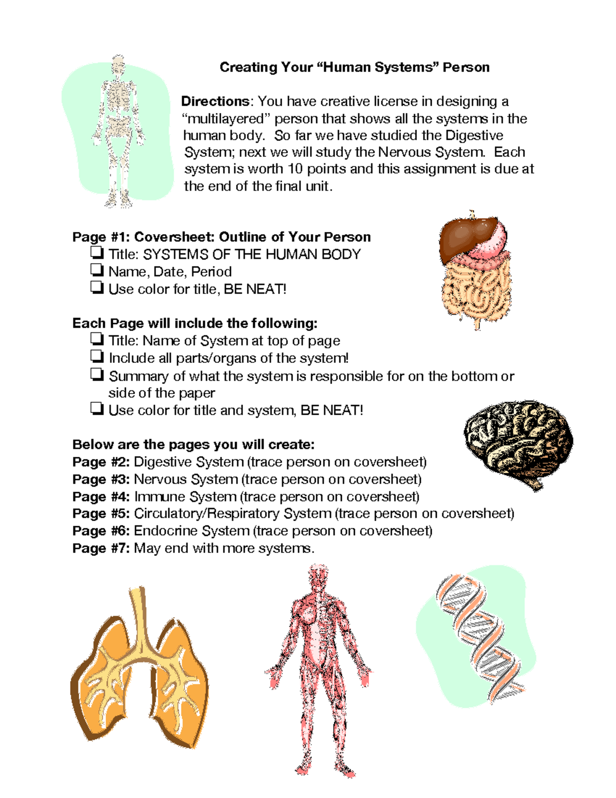 Systemsofthe Human Body Project 1 Creating Your Human Systems” Person Directions You Have