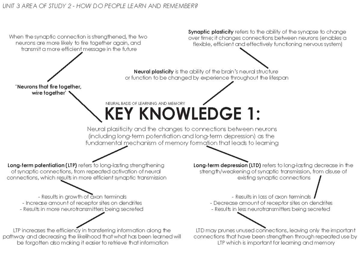 Psych Notes - KEY KNOWLEDGE 1: Neural plasiticity and the changes to ...