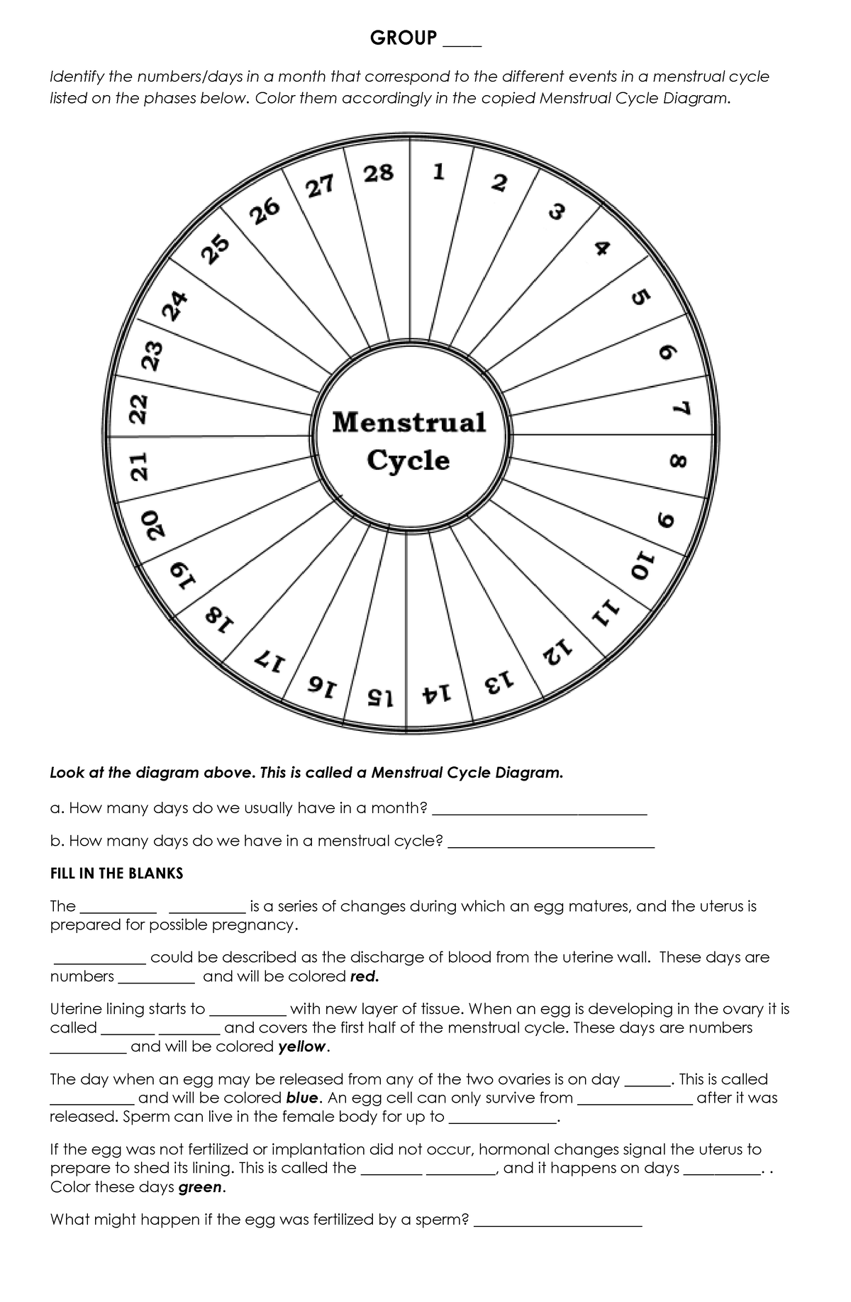 activity-2-menstrual-cycle-group-identify-the-numbers-days-in-a