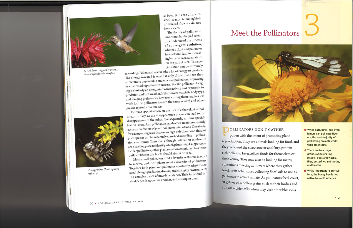 Chpt 3... bee pollination - ECON 1030 - Studocu