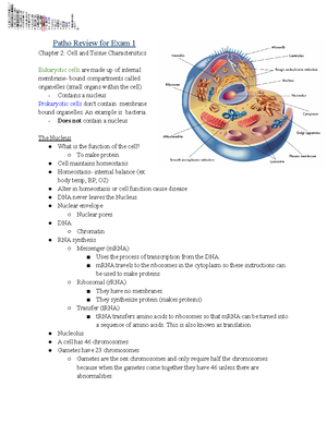 Pathophysiology - Patho Notes - PATHOPHYMIDTERM...... PATHOPHYSIOLOY ...
