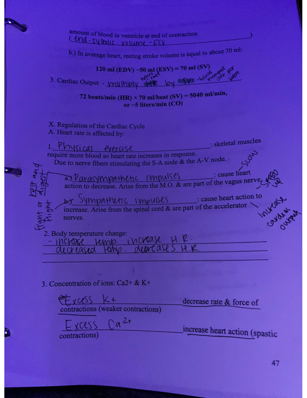106 - Anatomy and Physiology II w/ Lab lecture notes and quiz notes ...