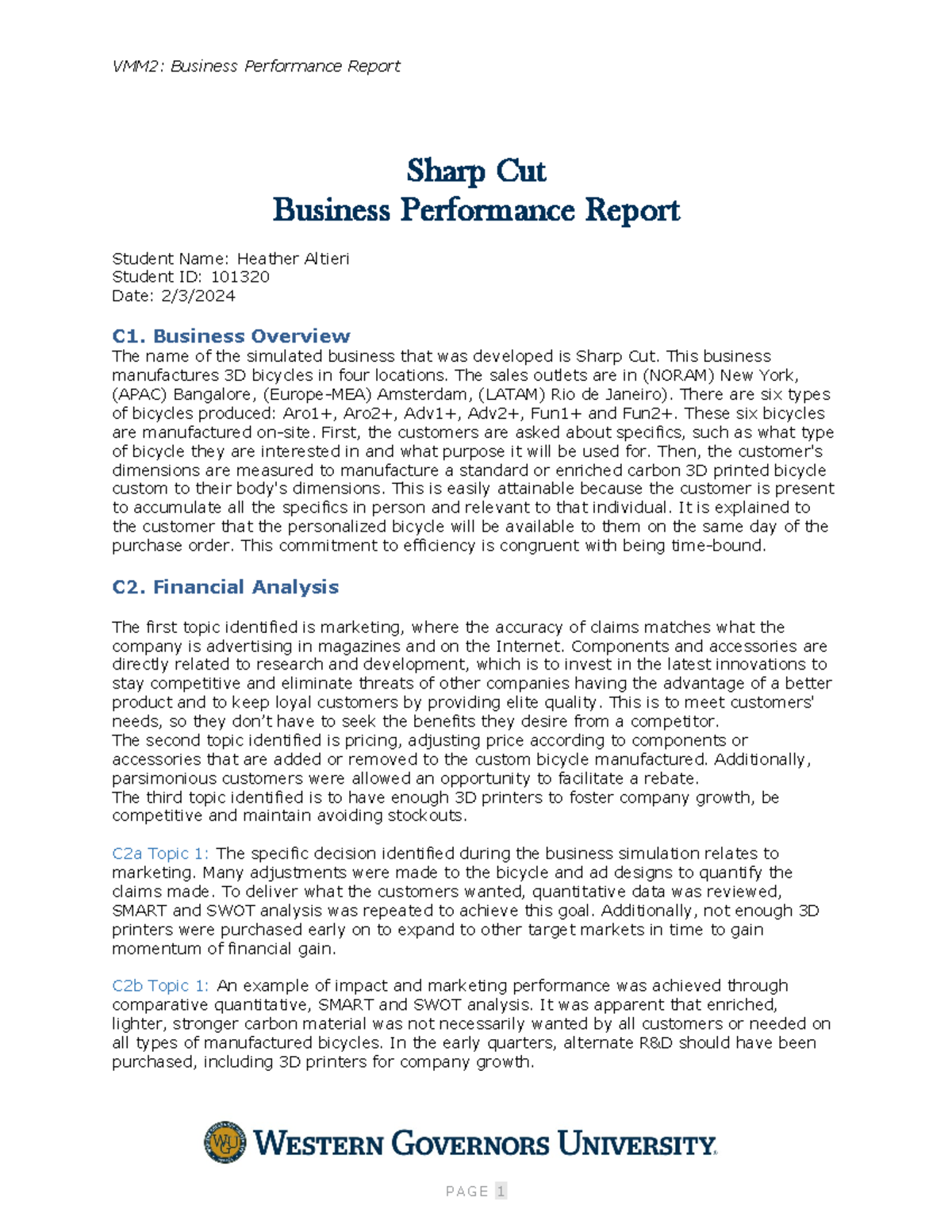 Business Performance Report Template - VMM 2 : Business Performance ...