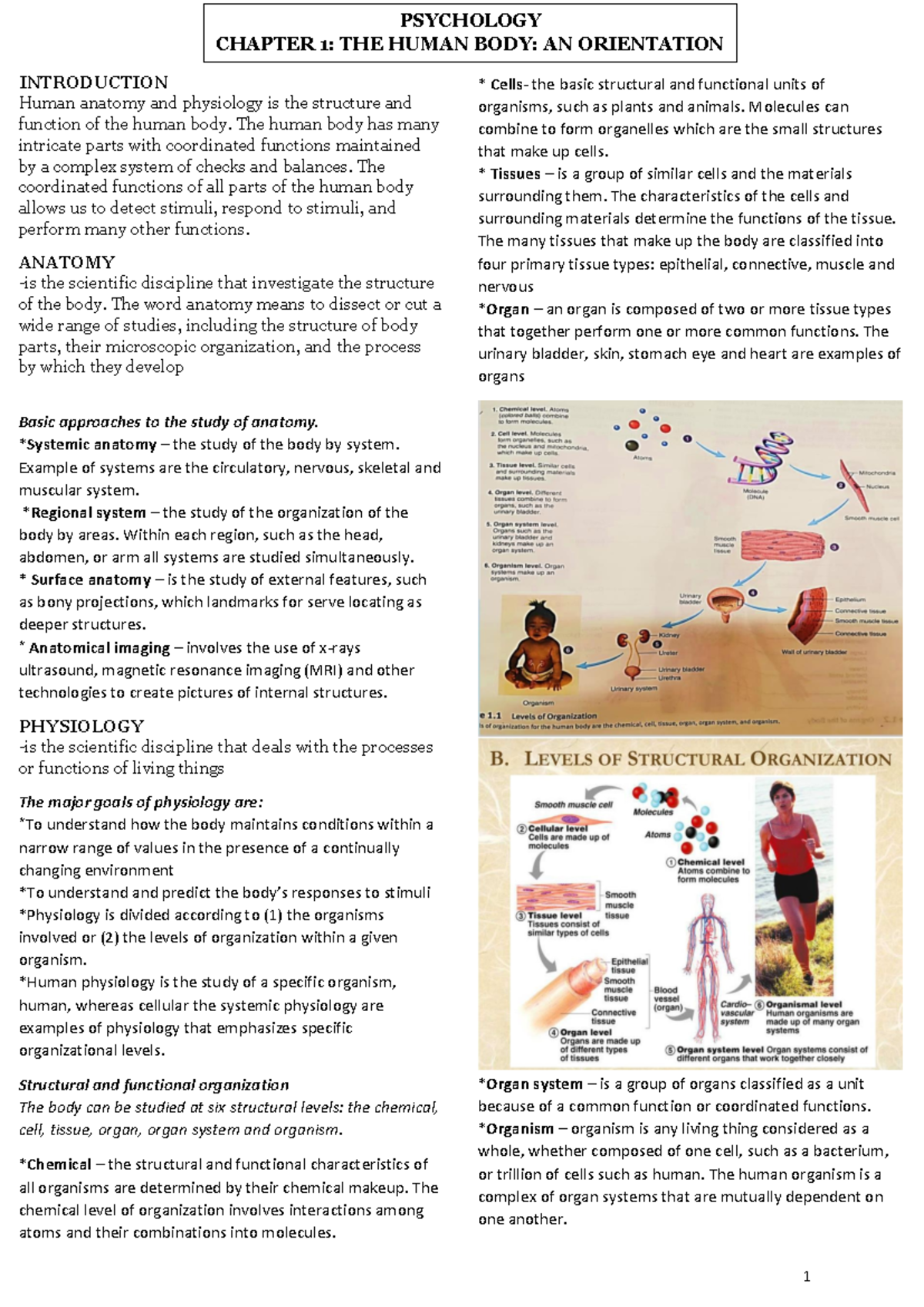 Anaphy Chapter 1 - INTRODUCTION Human anatomy and physiology is the ...