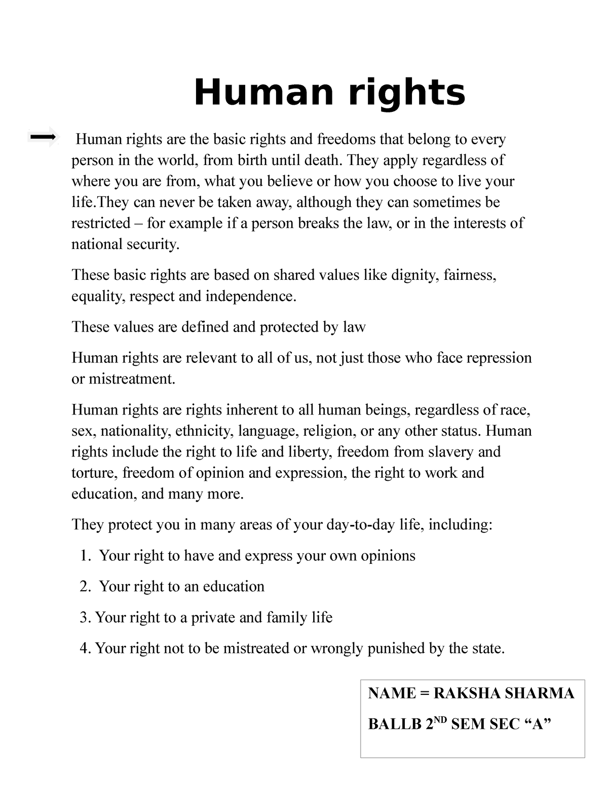 human rights assignment pdf for students