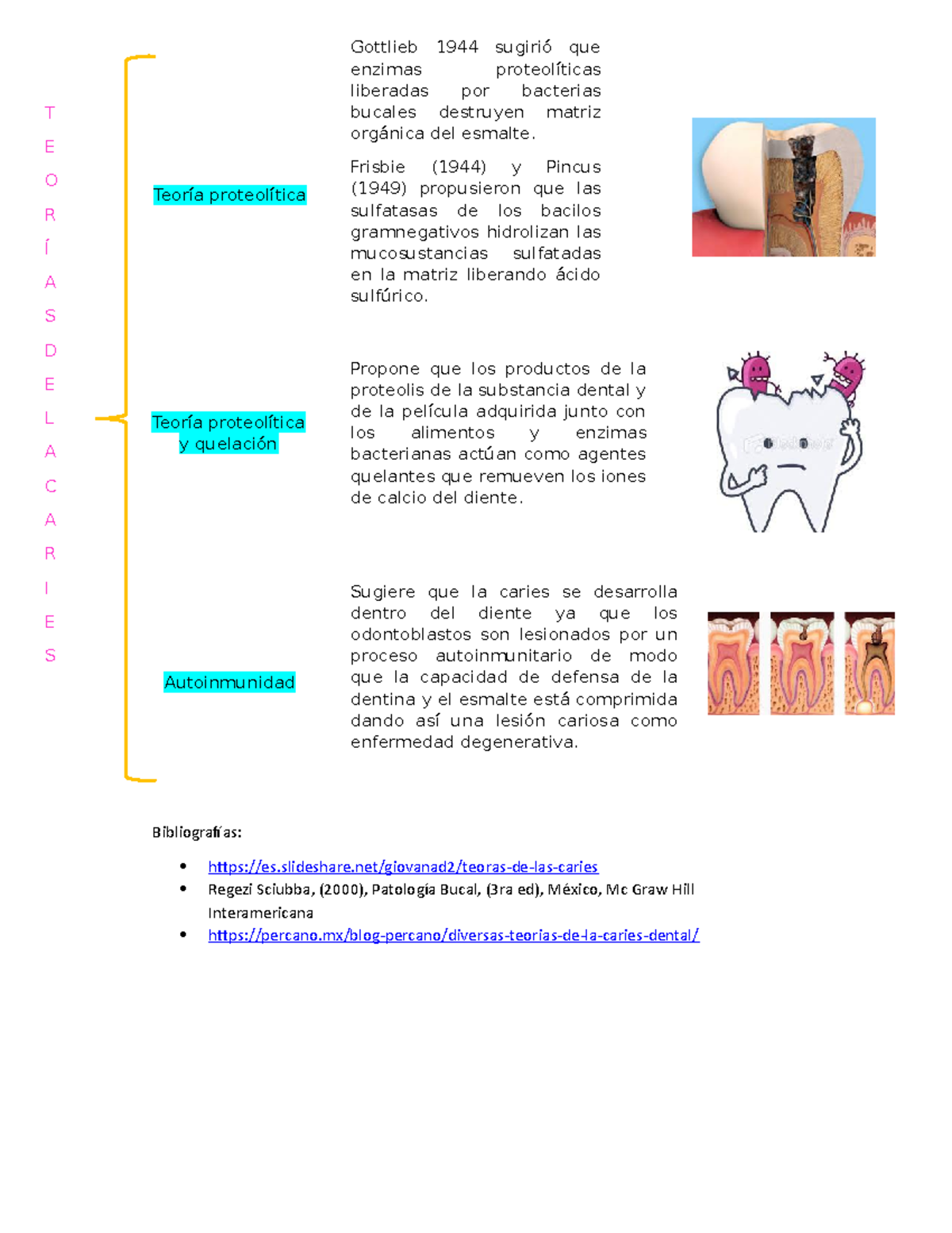 Teorias De La Caries Gottlieb Sugiri Que Enzimas Proteol Ticas Liberadas Por Bacterias