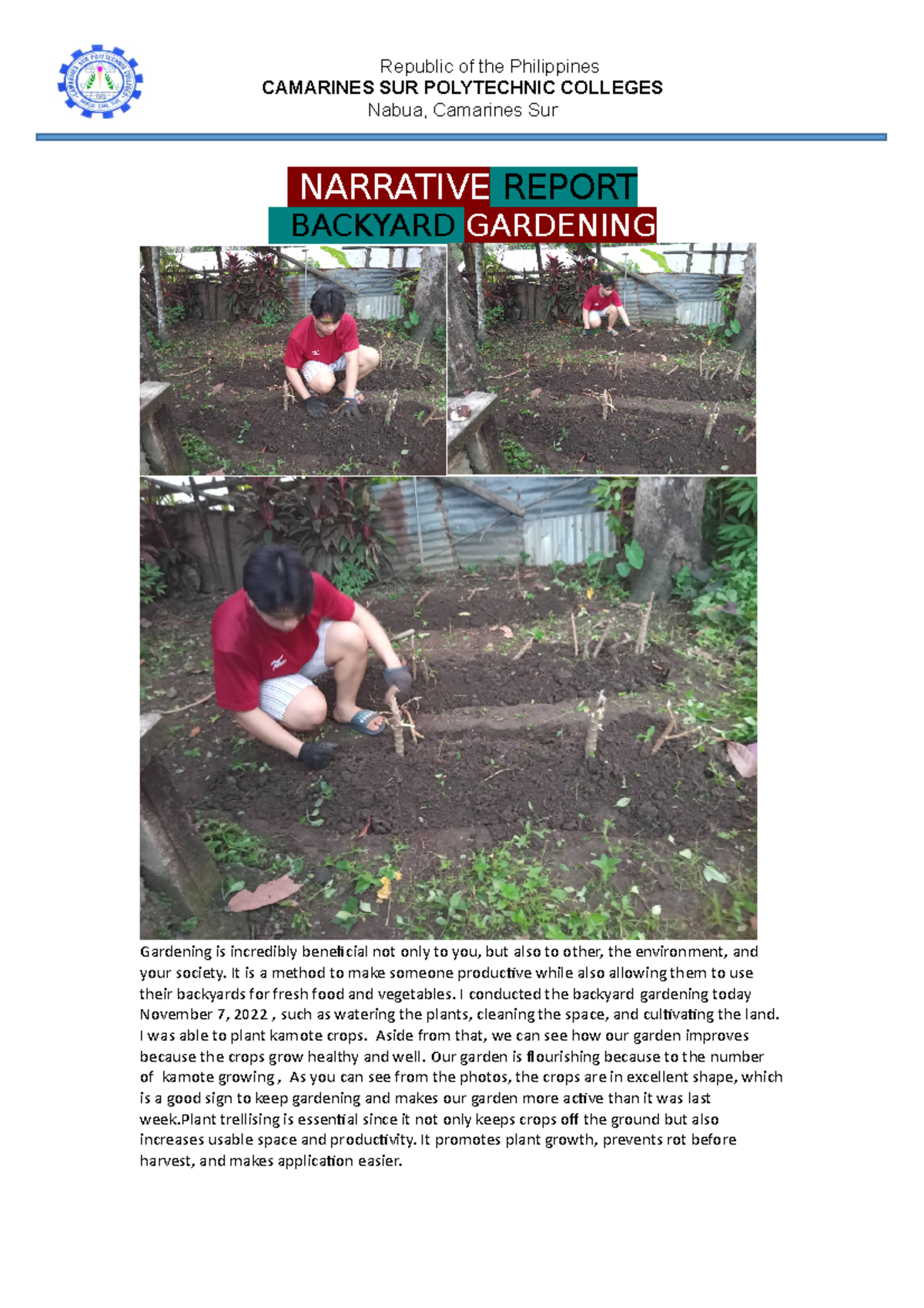 Narrative Report 2 - thanks - Republic of the Philippines CAMARINES SUR ...