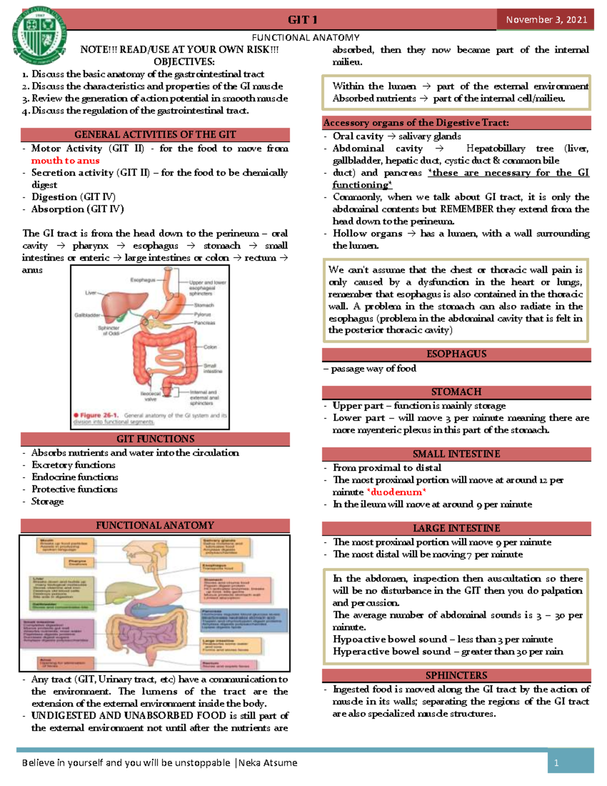 Functional Anatomy (GIT) - FUNCTIONAL ANATOMY NOTE!!! READ/USE AT YOUR ...