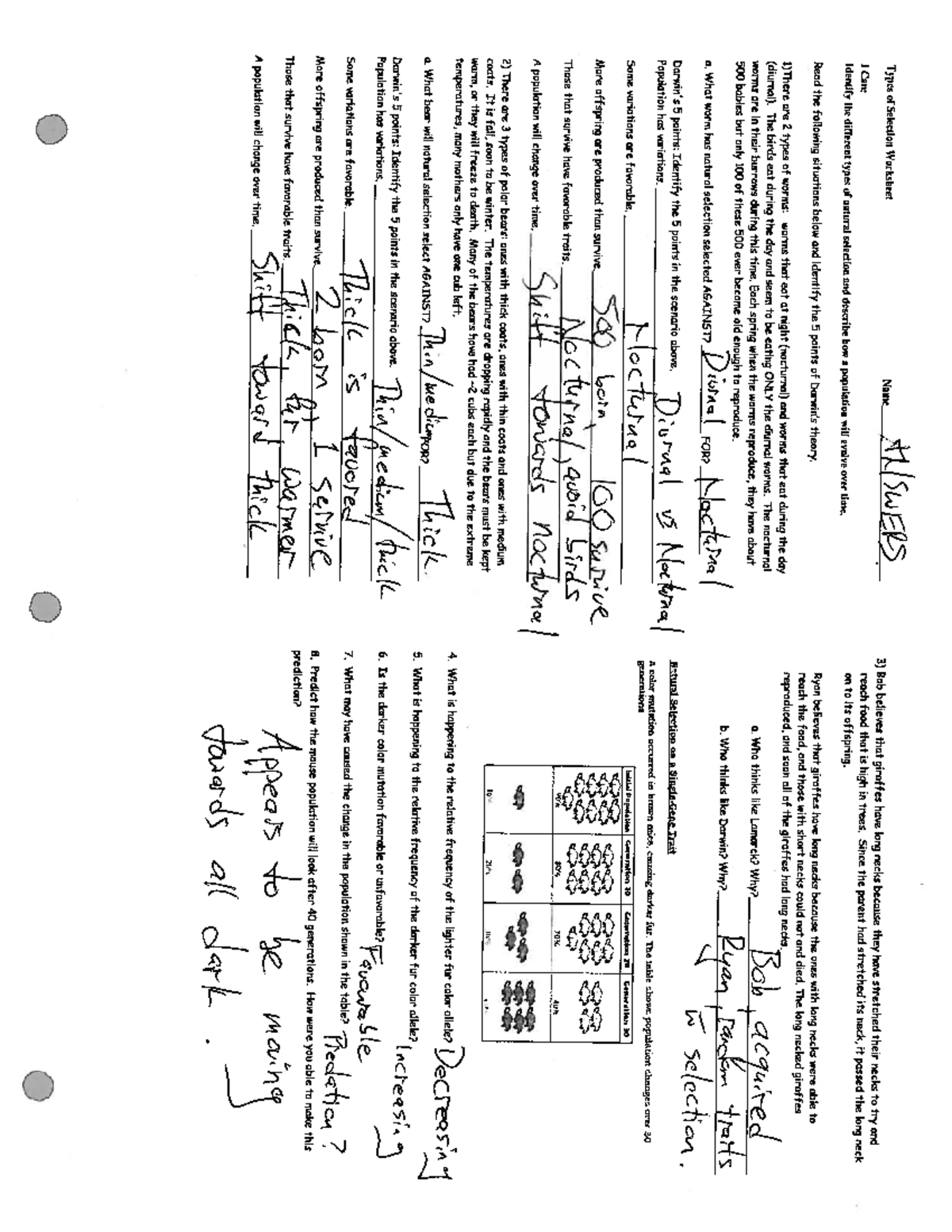 Types Of Selection Worksheet Answer Key Pdf