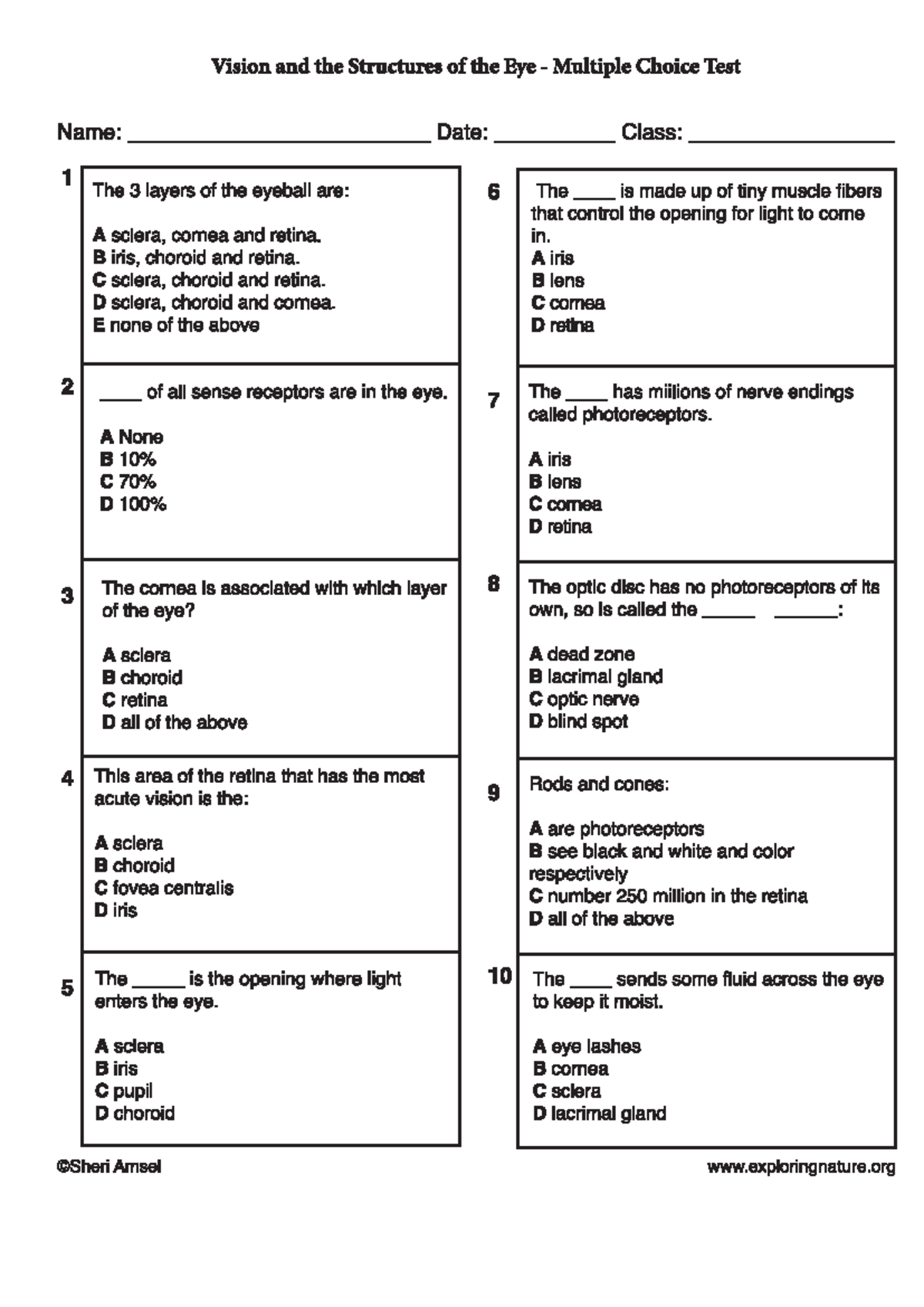 EYE QUIZ - Material de repaso - Vision and the Structures of the Eye ...