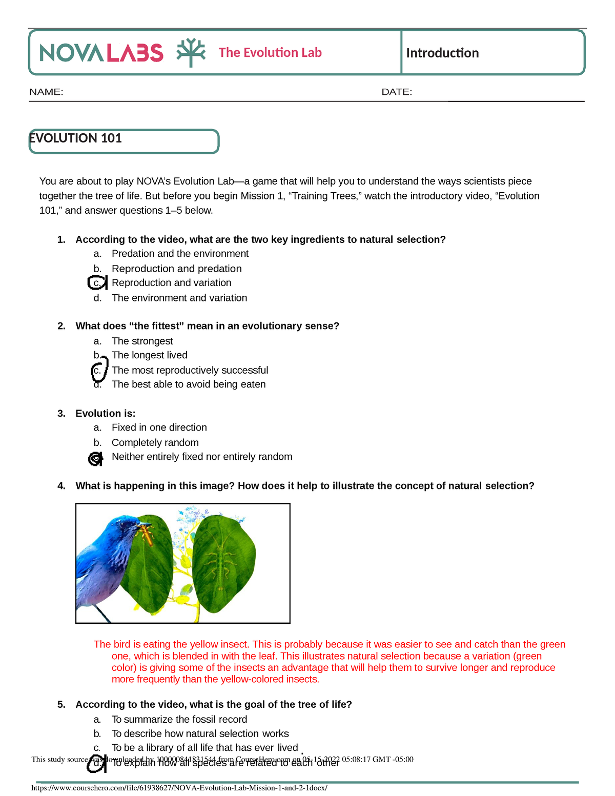 NOVA Evolution Lab Mission 1 And 2 1 - EVOLUTION 101 NAME: DATE: You ...