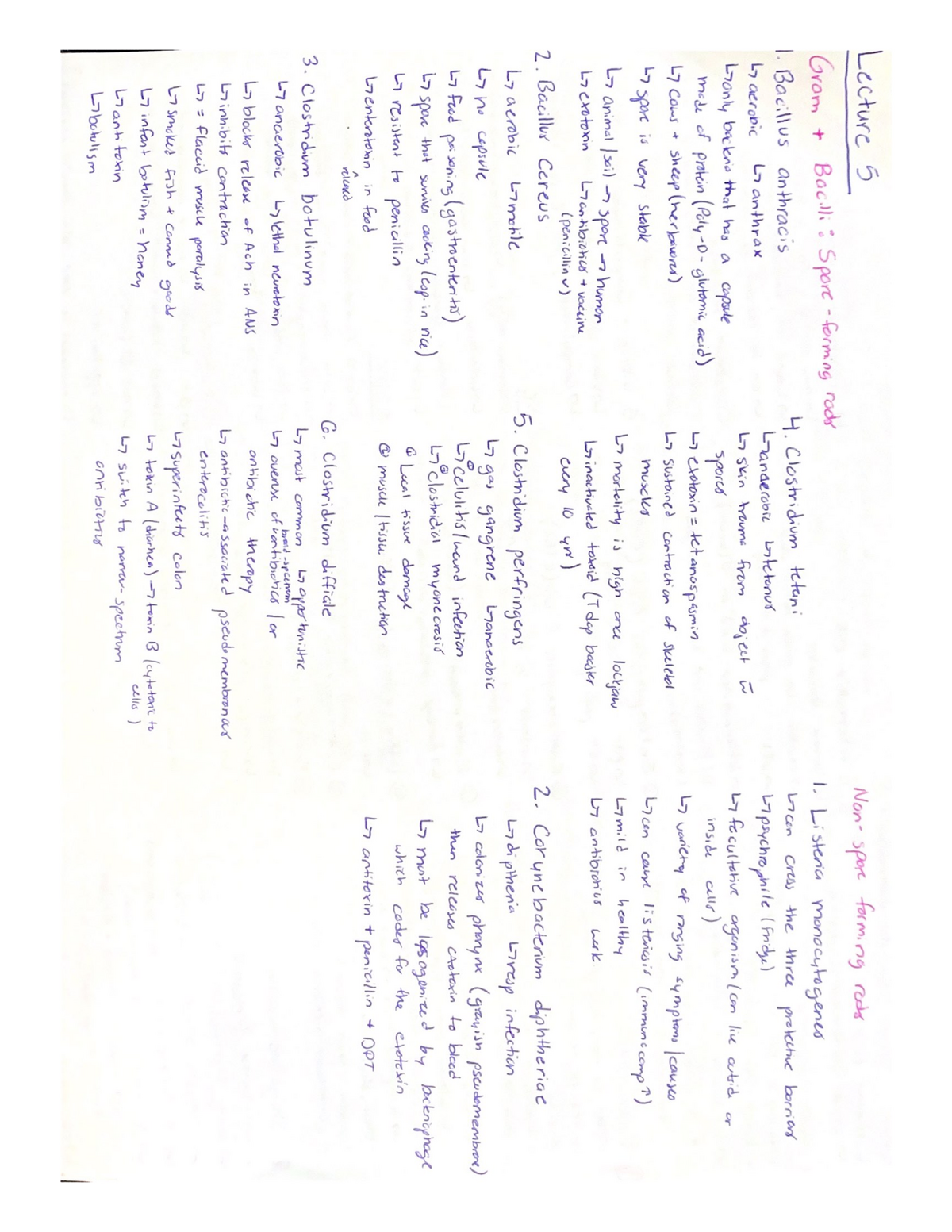 Lecture 5 And 6 Summary Chart HSS1100 StuDocu