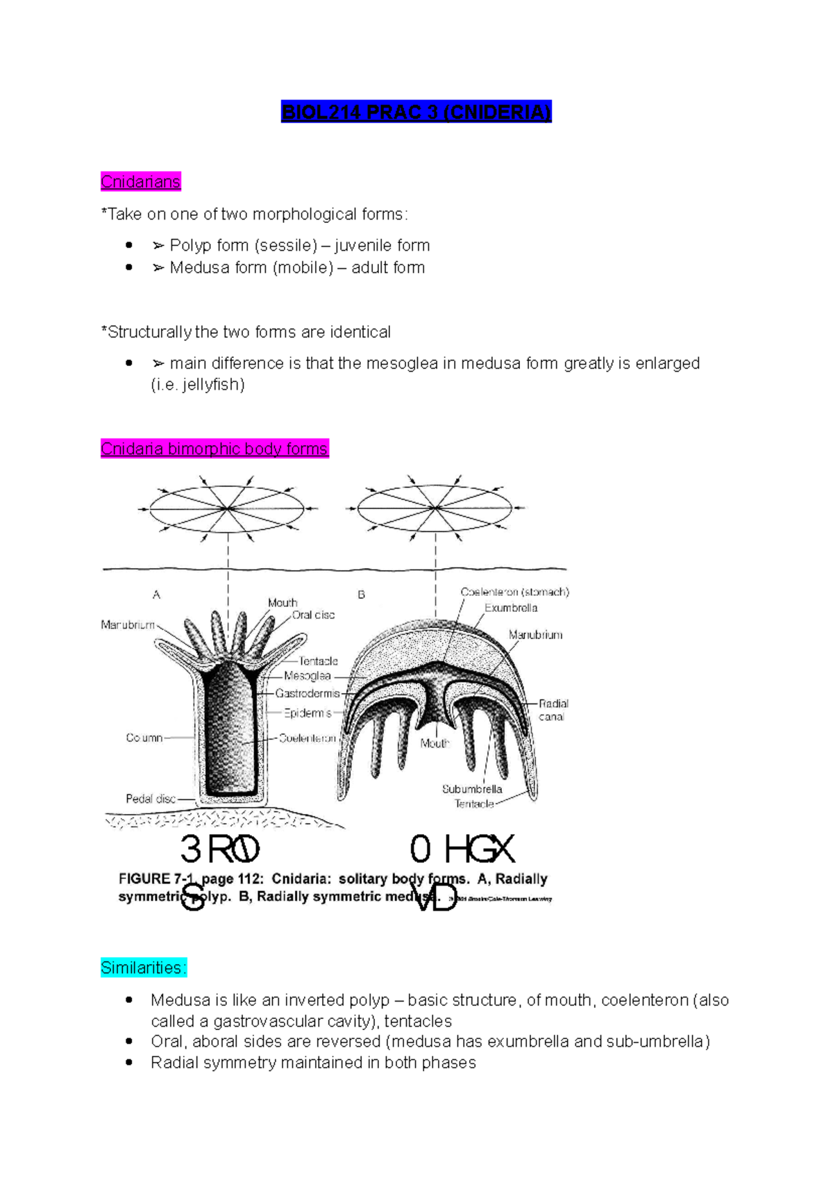 Biol214 prac3 - BIOL214 PRAC 3 (CNIDERIA) Cnidarians *Take on one of ...