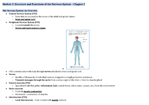 Structure and Function of the Peripheral Nervous System - 12 pairs How ...