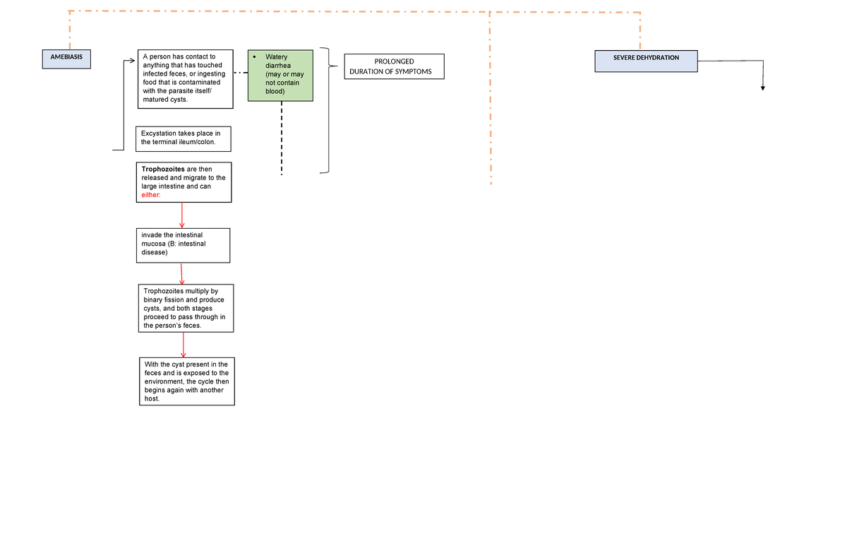 Pathophysiology Chart Anaphy 1 - AMEBIASIS A person has contact to ...