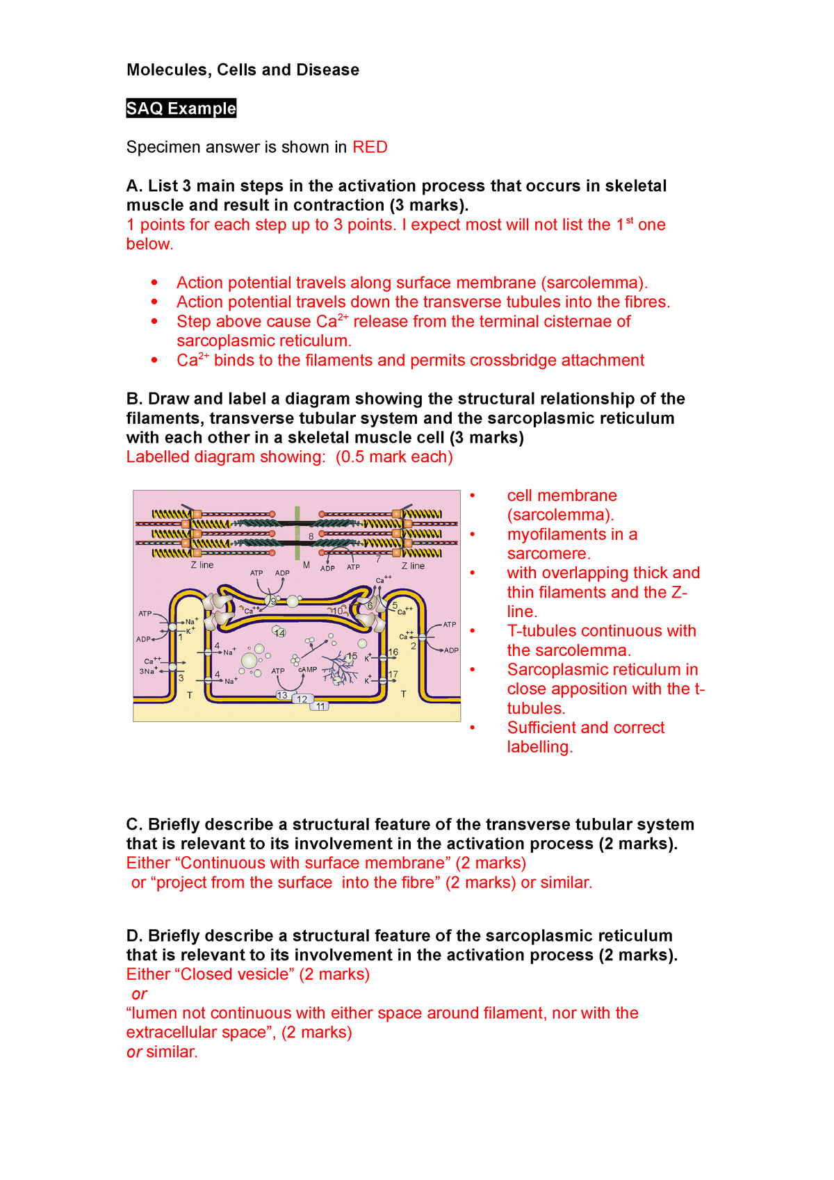 MCD-SAQ-TF-SBA-Examples - StuDocu