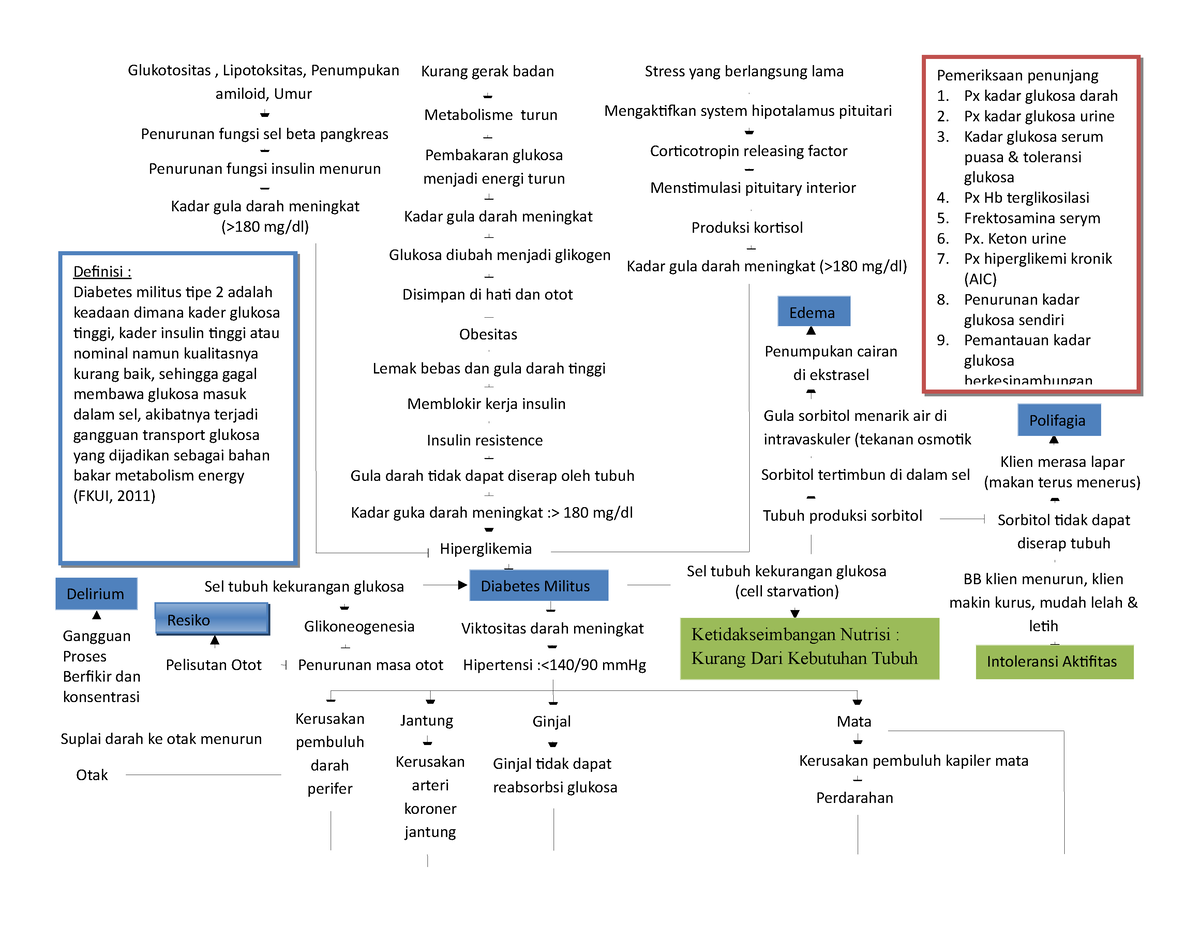 Woc Dm Tipe 2 Pathway Diabetes Melitus Tipe 2 Pdf Obe